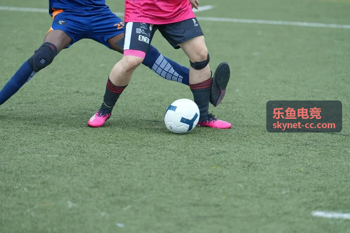 乐鱼电竞数据看板示意图